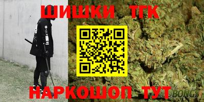 сатива Кингисепп