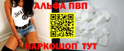 сатива Кингисепп