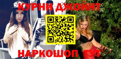 сатива Кингисепп