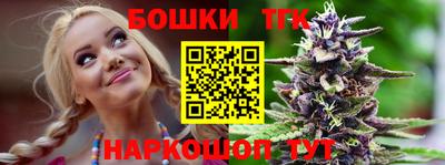 сатива Кингисепп