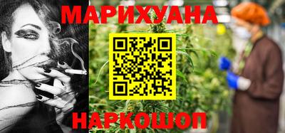 сатива Кингисепп