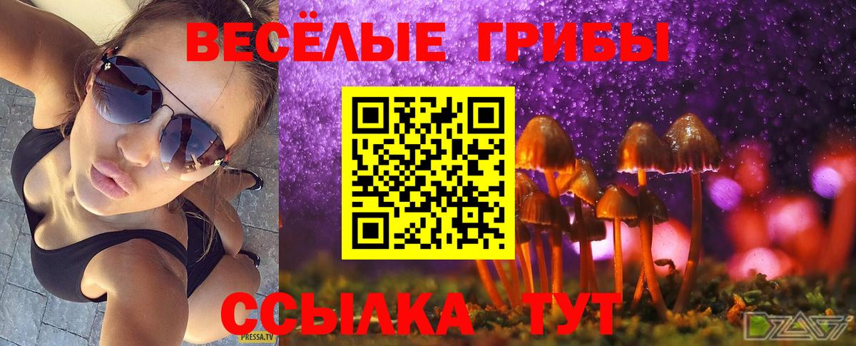 Галлюциногенные грибы MAGIC MUSHROOMS Дальнегорск