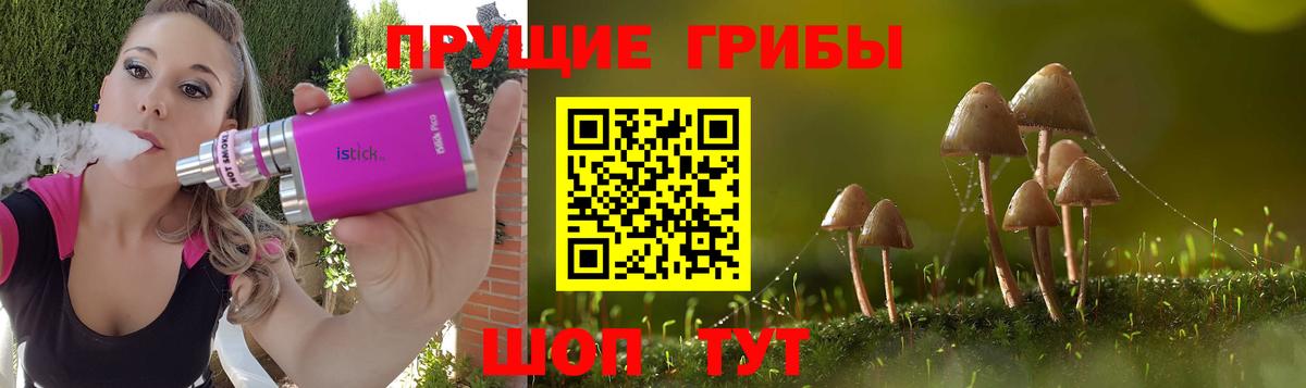 Дальнегорск  Галлюциногенные грибы прущие грибы  Вход с VPN 