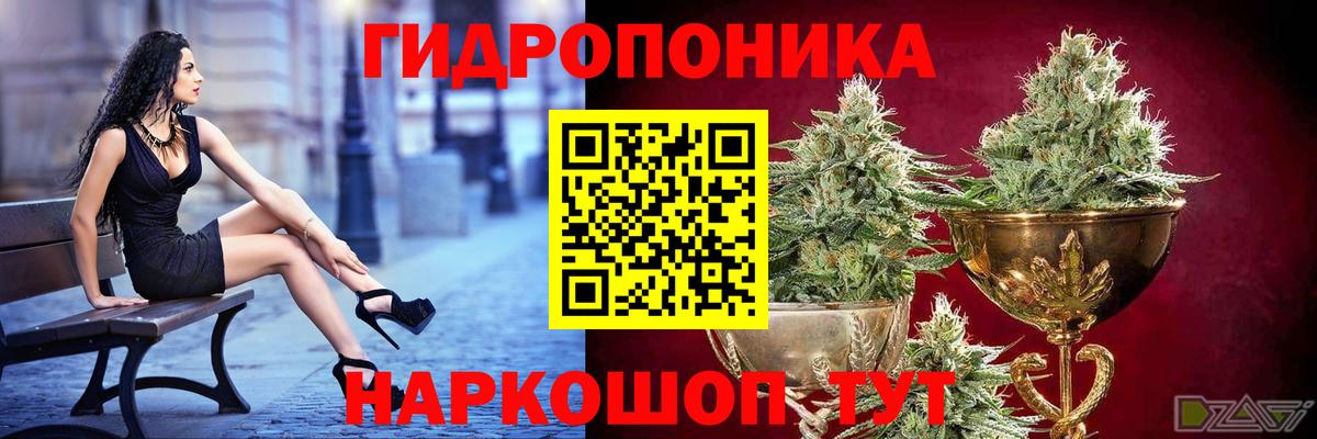 Дальнегорск  Канабис тримм  Вход с VPN  Конопля план 